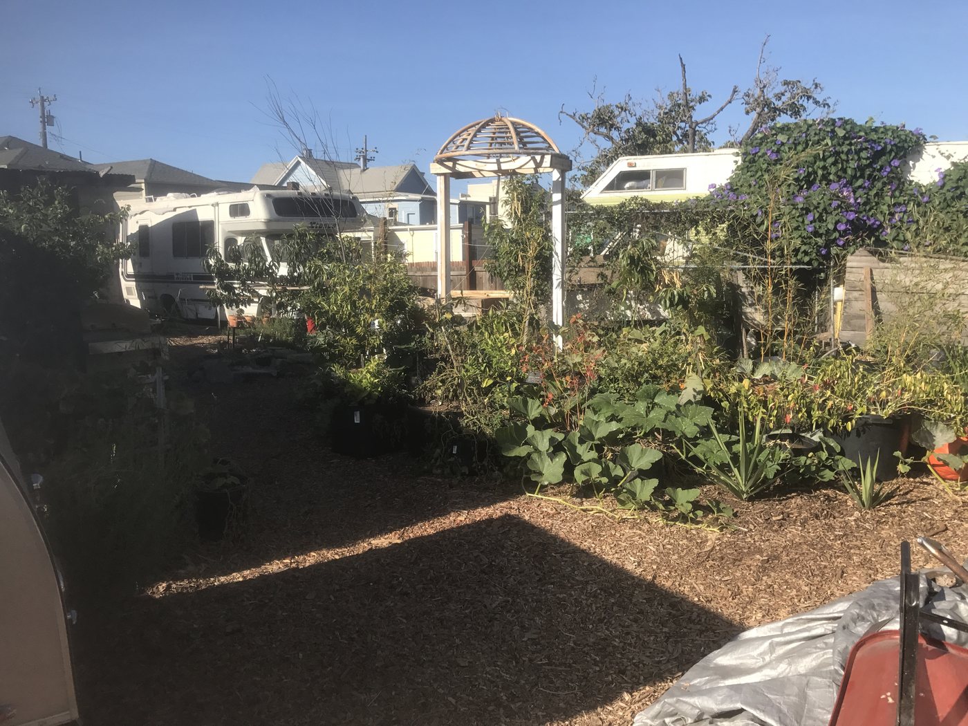 The garden and arbor at No Parking